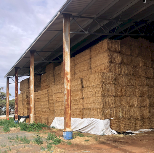 200mt Oaten Hay 650kg 8x4x3 Bales