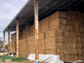 200mt Oaten Hay 650kg 8x4x3 Bales