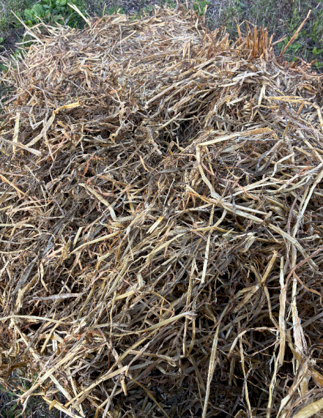 500mt Oat/Clover Silage 6x4x3 Bales