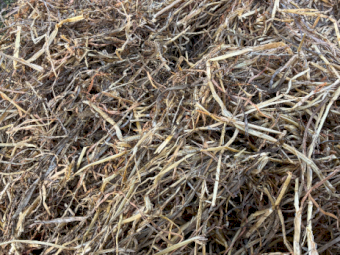 500mt Oat/Clover Silage 6x4x3 Bales