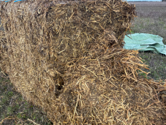 500mt Oat/Clover Silage 6x4x3 Bales