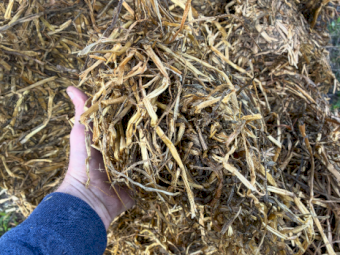 500mt Oat/Clover Silage 6x4x3 Bales