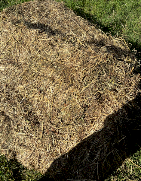 300mt Pasture Hay 8x4x3 Bales