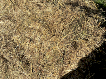 300mt Pasture Hay 8x4x3 Bales