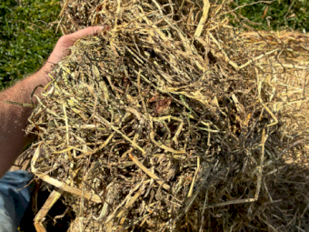 300mt Pasture Hay 8x4x3 Bales