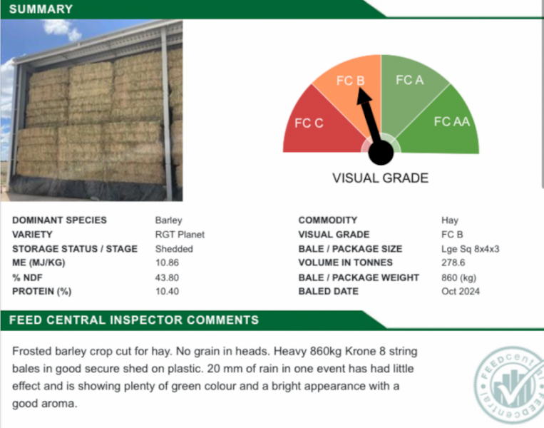 250mt Barley 750-800kg 8x4x3 Bales