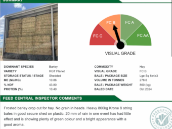 250mt Barley 750-800kg 8x4x3 Bales