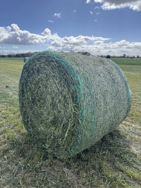 100 mt Vetch Hay 420kg 5x4 Round Bales