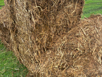 500mt Clover Ryegrass Silage 6x4x3 Bales
