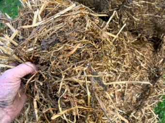 500mt Clover Ryegrass Silage 6x4x3 Bales