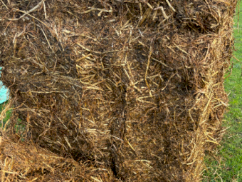 500mt Clover Ryegrass Silage 6x4x3 Bales