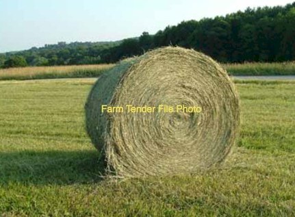 65 x Annual Rye and Clover Hay 5x4 Round Bales