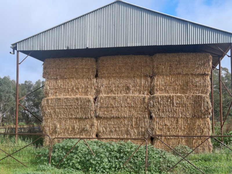 65MT Oaten Lucerne Hay 8X4X3 Large Square Bales