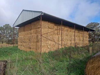65MT Oaten Lucerne Hay 8X4X3 Large Square Bales