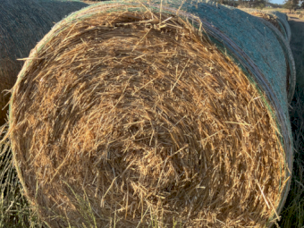 400 x Oaten Hay 400-450kg 5x4 Round Bales