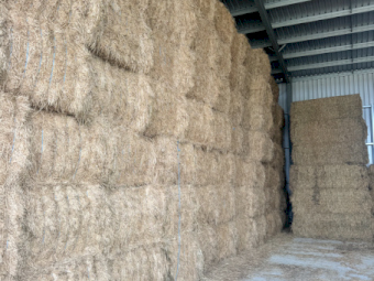 160mt Lucerne Hay 580kg 8x4x3 Bales