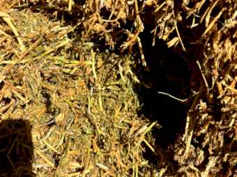 100mt Vetch Hay 680kg 8x4x3 Bales