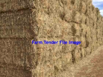 200 x Oaten Straw 8X4X3 Large Square Bales