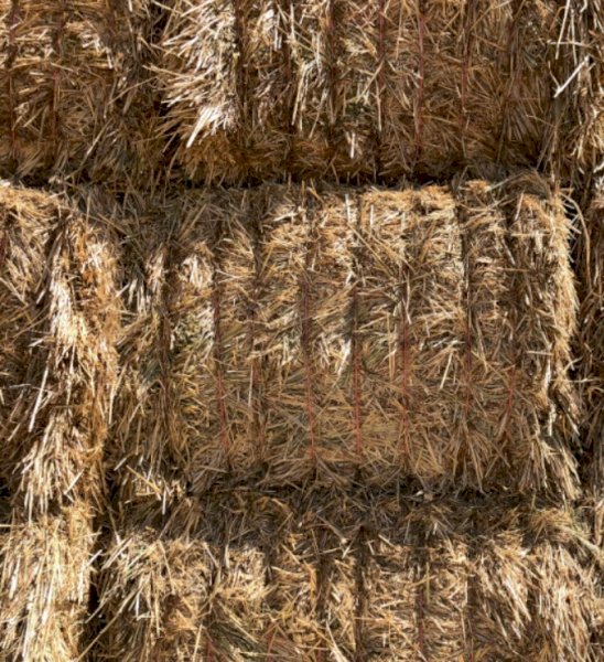 80mt Oaten Hay 650-700kg 8x4x3 Bales