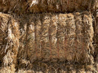 80mt Oaten Hay 650-700kg 8x4x3 Bales