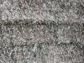 850mt Oaten and Clover Hay 640kg 8x4x3 Bales