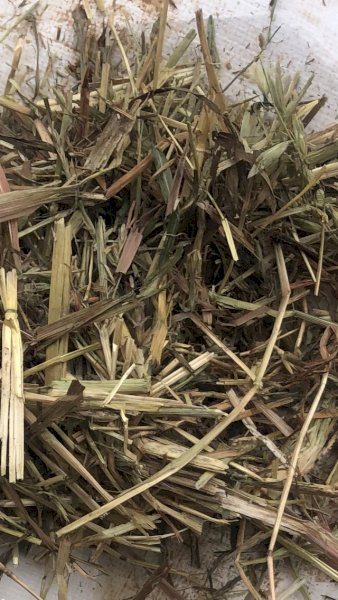 350mt Oaten Rye Hay 620kg 8x4x3 Bales