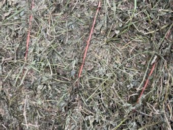 200mt Lucerne Silage Large Square Bales