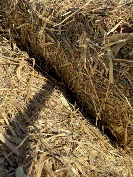100mt Oaten Hay 500kg 8x4x3 Bales