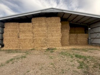 100mt Oaten Hay 500kg 8x4x3 Bales