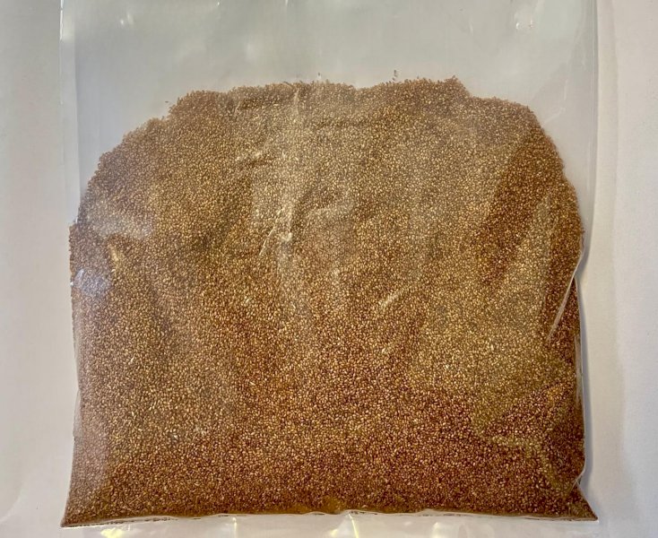 Brown Teff Seed