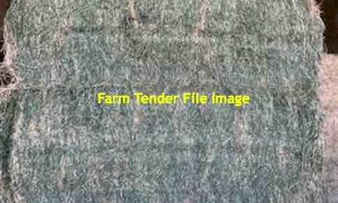 WANTED 8x3x3 Hay bales