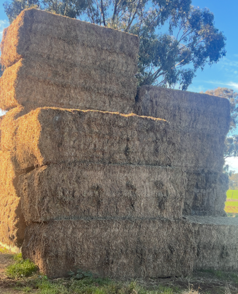 40mt Vetch Hay 600kg 8x4x3 Bales