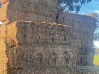 40mt Vetch Hay 600kg 8x4x3 Bales