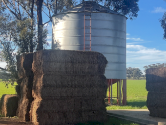 40mt Vetch Hay 600kg 8x4x3 Bales