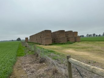 300 m/t Header Trailed Barley Straw