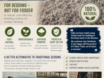 Dairy Bedding (Not Fodder)