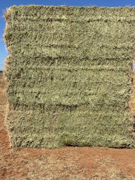 300mt Cavalcade Hay 600kg 8x4x3 Bales