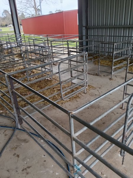 49 Sheep/Calf Show Pens