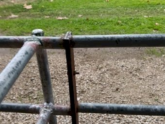 49 Sheep/Calf Show Pens