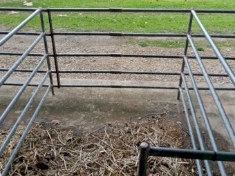 49 Sheep/Calf Show Pens