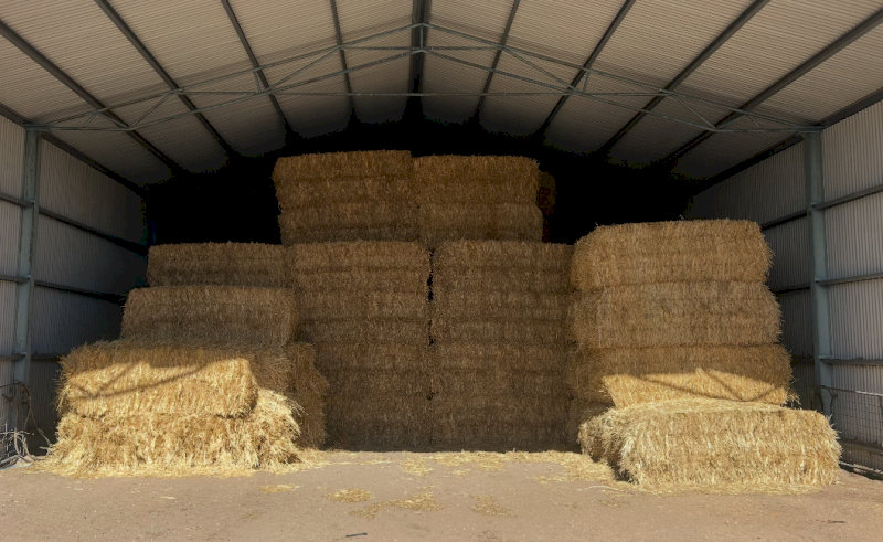 60mt Oaten Hay 700kg 8x4x3 Bales