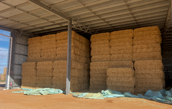 400mt Wheaten Hay 730kg 8x4x3 Bales