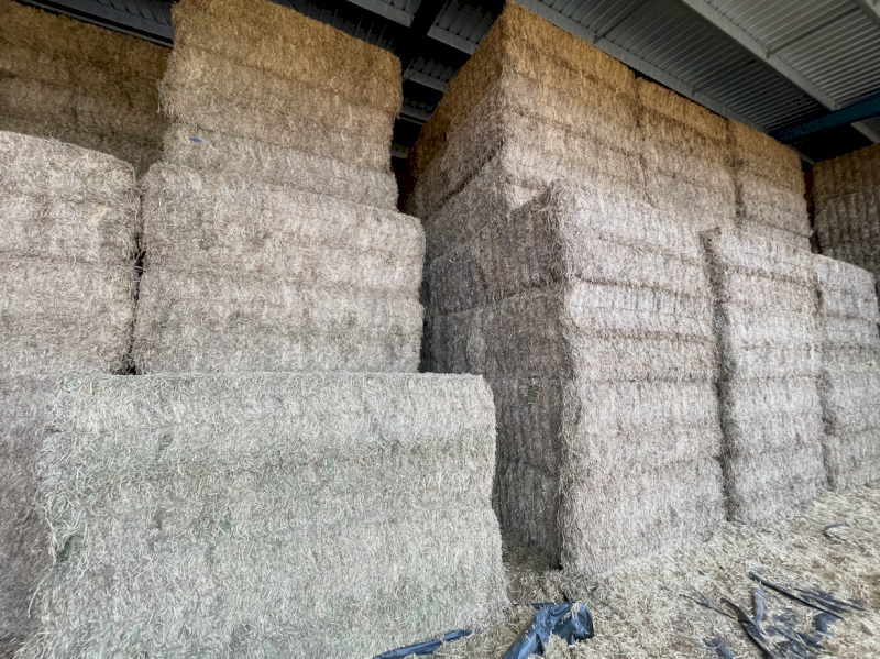 250mt Vetch Hay 610-620kg 8x4x3 Bales