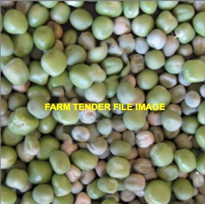 WANTED 25mt Snow Pea Sprout Seeds