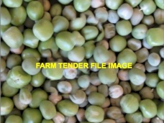 WANTED 25mt Snow Pea Sprout Seeds