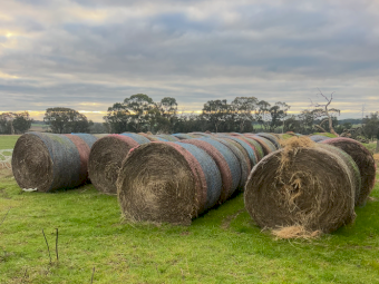 400 x Clover and Rye Round Bales