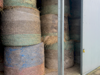 600 x Clover and Rye Hay Round Bales