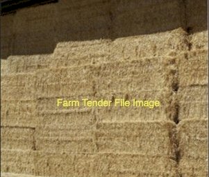 100mt Barley Straw 550kg 8x4x3 Bales