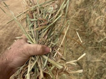 500mt Oaten Hay 8x4x3 Bales
