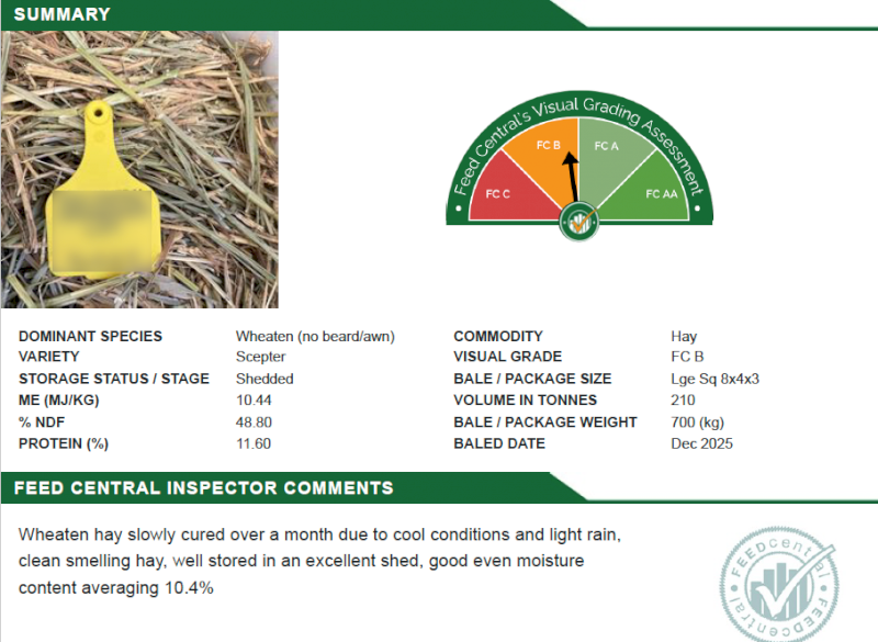 80mt Wheaten Hay 700kg 8x4x3 Bales